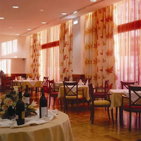 Vip 이그제큐티브 주리케